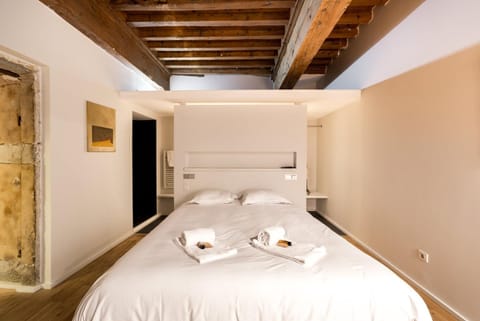 La suite Bibliothèque - Quartier historique AIL Apartment in Lyon