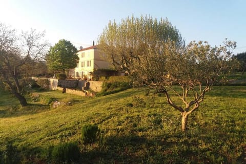 Bastide au milieu des vignes et des oliviers Aups Haus in Aups