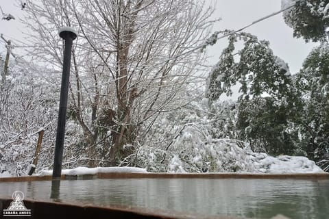 Natural landscape, Winter, Swimming pool