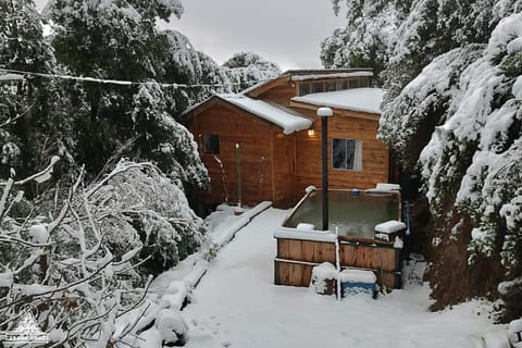 Property building, Natural landscape, Winter