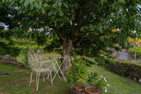 Garden, Garden view