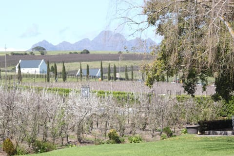 Brenaissance Wine & Stud Estate Hotel in Stellenbosch