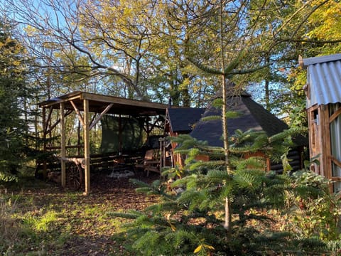 The Hobbit House and Secret Garden Nature lodge in Taunton Deane