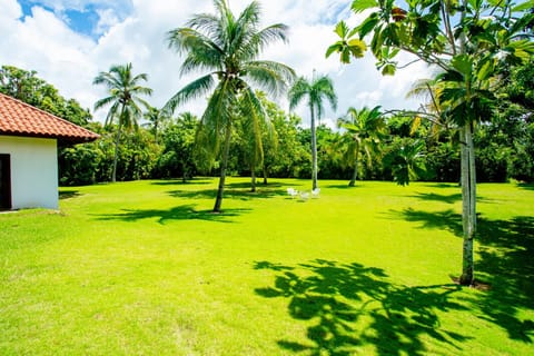 Natural landscape, Garden, Garden view