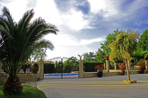 Garden, Swimming pool