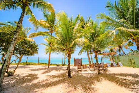 Natural landscape, Beach, On site, Sea view, sunbed