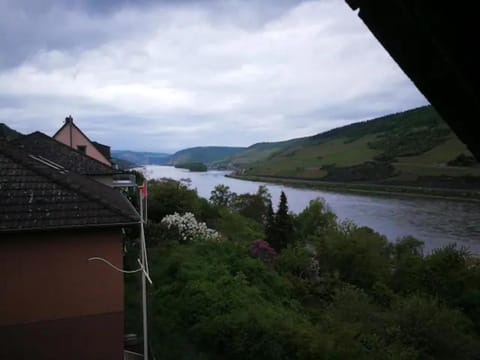 Wunderschöne Aussicht garantiert Vacation rental in Mainz-Bingen