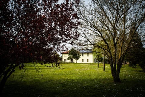 Property building, Garden view