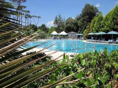 Pool view, Swimming pool, Public Bath