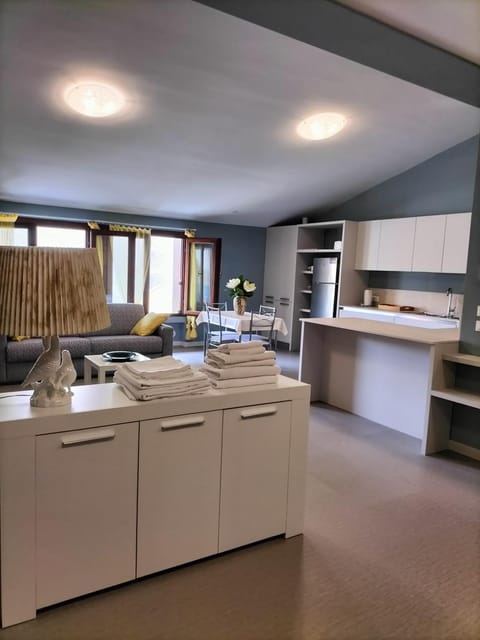 Kitchen or kitchenette, dishwasher, minibar, pet friendly, stove