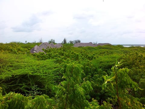 Property building, Bird's eye view