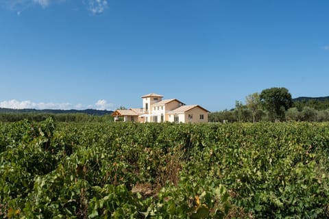 Property building, Natural landscape, Garden