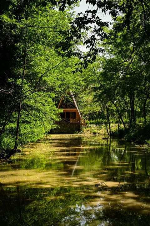 Property building, Natural landscape, Lake view, River view