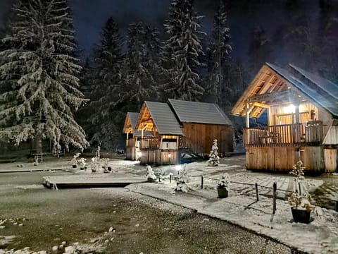 Property building, Night, Natural landscape, Winter