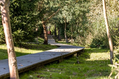 Natural landscape, Garden view