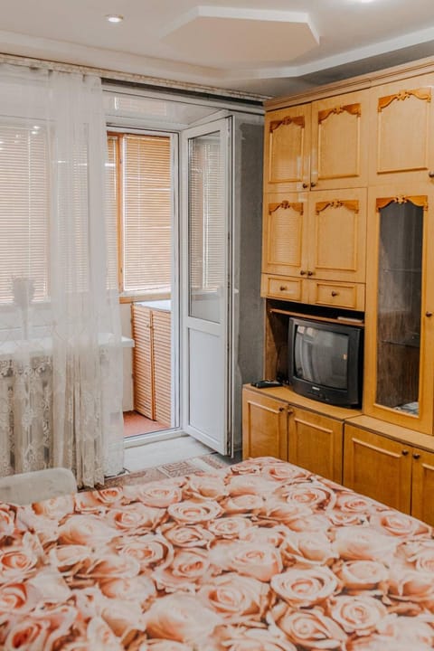 Comfortable apartments on Hrushevskogo street near 16 city hospital Apartment in Dnipro