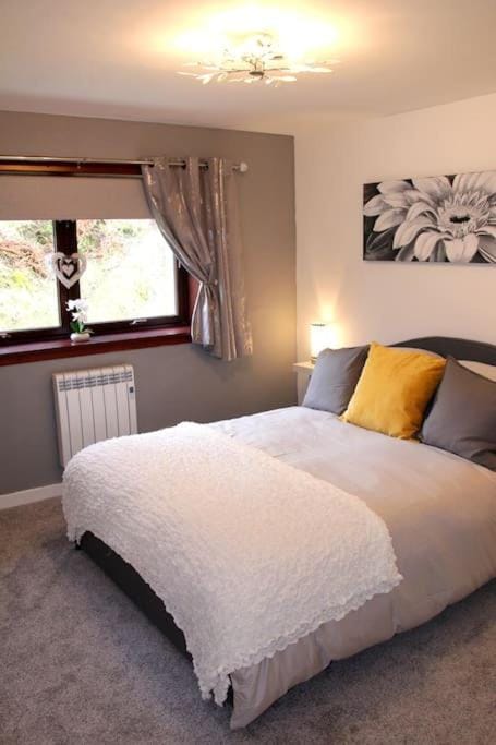 Bed, Bedroom, internet