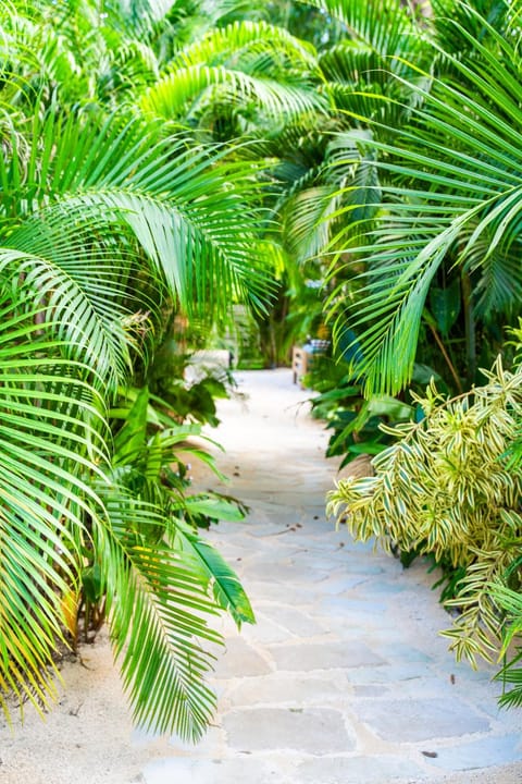 Norte Nosara - Steps to Playa Guiones Hotel in Guanacaste Province