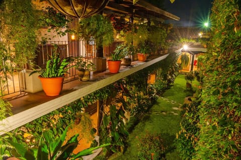 Patio, Garden, Garden view