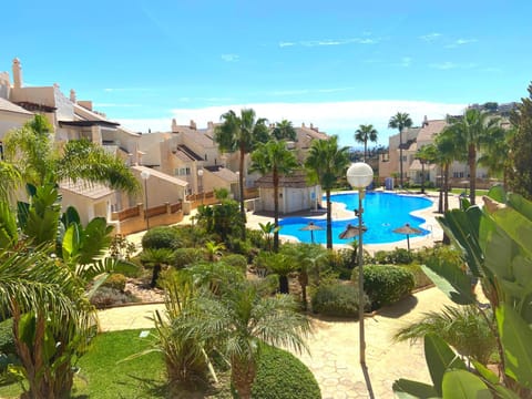 Garden, Swimming pool, Swimming pool, sunbed