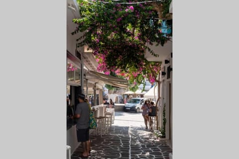 Soso's House Apartment in Naousa