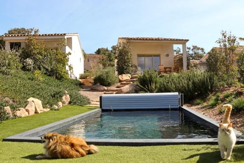 Garden, Garden view, Pool view, Swimming pool