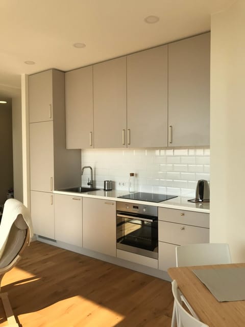 Kitchen or kitchenette, kitchen