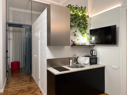 TV and multimedia, Coffee/tea facilities, Kitchen or kitchenette, minibar