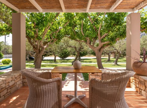 Patio, Garden, Garden view