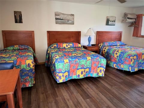 Pony Island Inn Motel in Ocracoke Island
