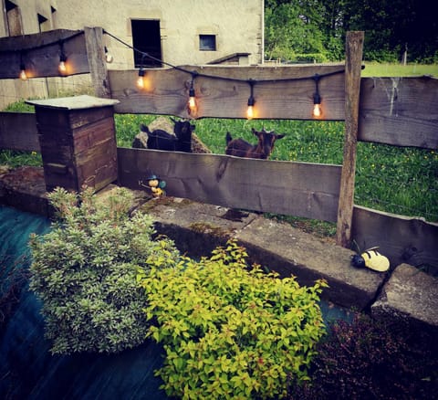 Gîte de charme : A la volette House in Vosges