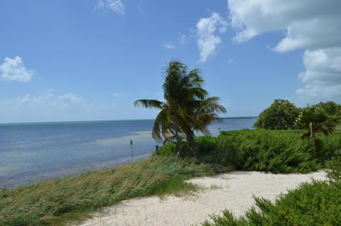 Atlantic Oasis on the Ocean Eigentumswohnung in Key West