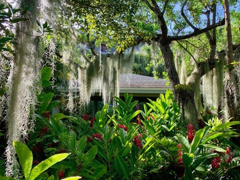 Tropical Paradise Key West Eigentumswohnung in Key West