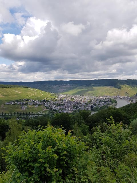 Mosella Ferienwohnungen Condo in Graach an der Mosel