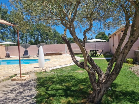 Garden, Swimming pool