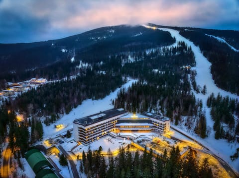 Property building, Natural landscape, Bird's eye view, Winter, Mountain view