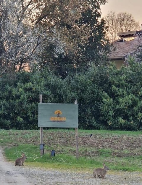 Acero Giallo Bed and Breakfast in Parma