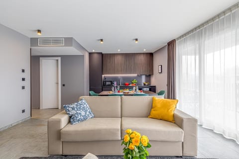 Kitchen or kitchenette, Living room, Dining area, air conditioner