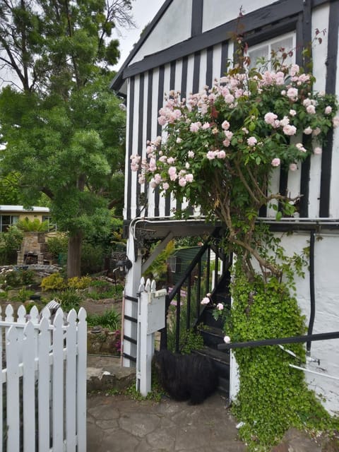 Old Colony Inn Pensão in New Norfolk