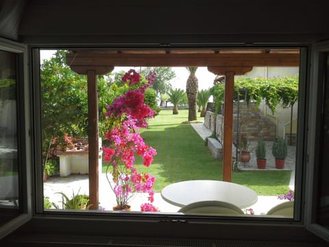 Garden view