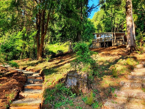 Cabaña con vistas al Río y la Selva Valdiviana House in Valdivia