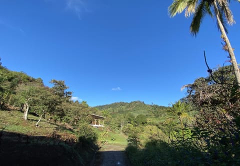 View (from property/room), Balcony/Terrace, Garden view