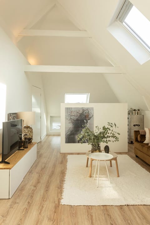 Huize Copes apartment Den Haag, 2 bed, 2 bath Apartment in The Hague