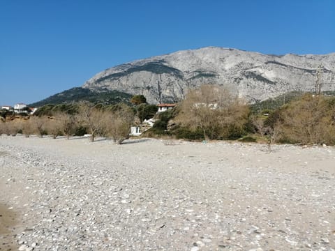 Nearby landmark, Beach