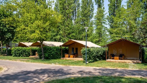 Natural landscape, Street view