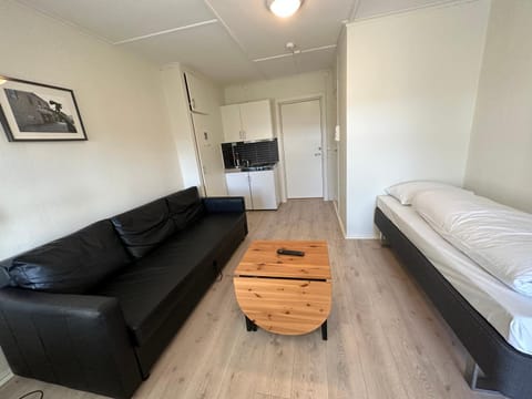 Lillehammer Camping - Sentrums leilighet Condominio in Lillehammer