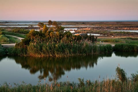 La Remulla House in Baix Ebre