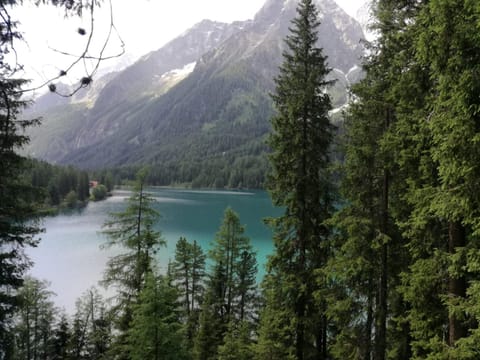 Natural landscape, Lake view