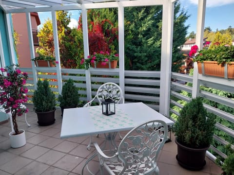 Day, Balcony/Terrace, Garden view