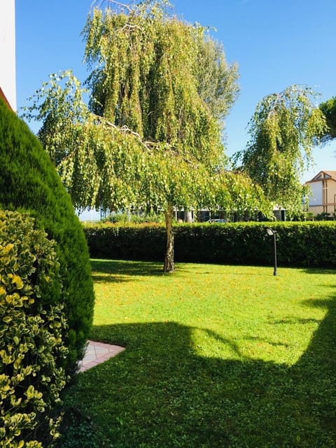 Day, Garden, Garden view